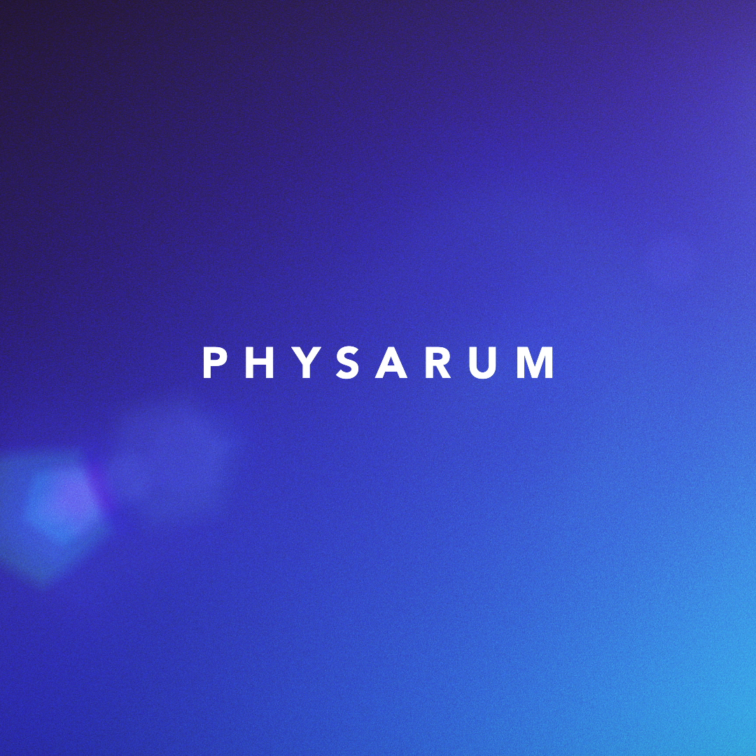 Physarum